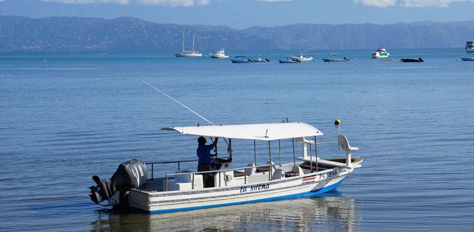 Cabinas Jimenez Puerto Jimenez Exterior photo