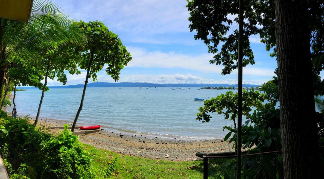 Cabinas Jimenez Puerto Jimenez Exterior photo
